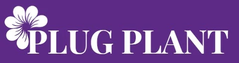 Plug Plant Shop